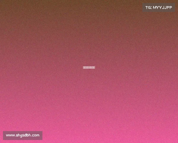 体育比赛报道内容